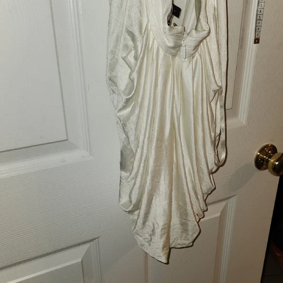 BCBGMaxAzria Cream Dress with Pleated Detail - Picture 3 of 5